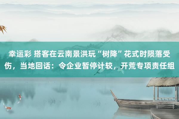 幸运彩 搭客在云南景洪玩“树降”花式时陨落受伤，当地回话：令企业暂停计较，开荒专项责任组